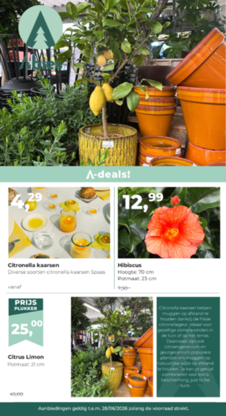 Onze folders
