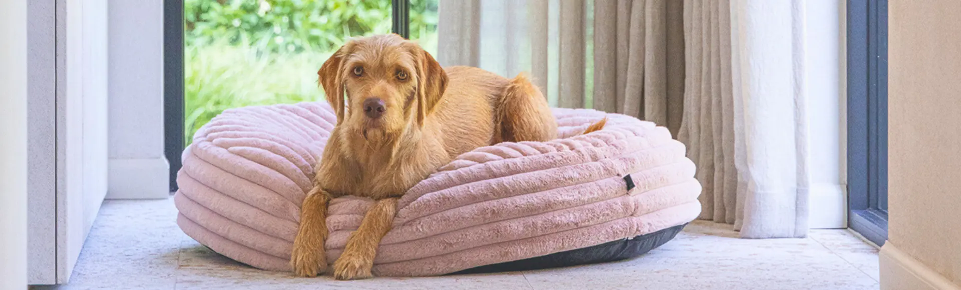 Nieuw in onze dierenafdeling!