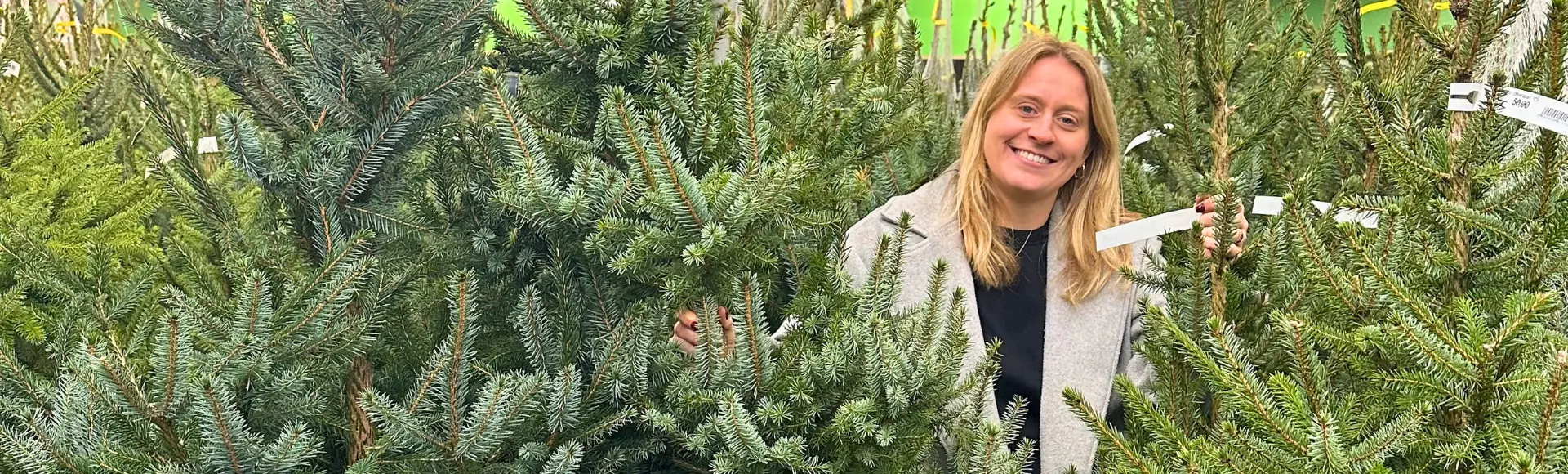 Kies jouw perfecte kerstboom vandaag!