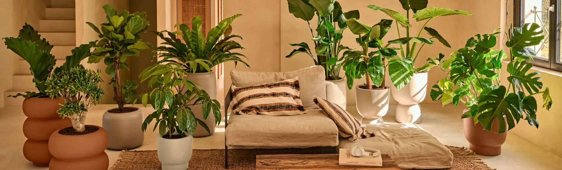 kamerplanten Nieuw seizoen, nieuwe energie voor je interieur.