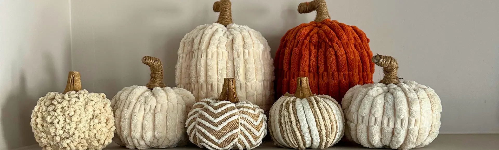 pompoenen herfst 2025 Van pompoen tot plaid: