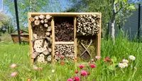 11 tips voor een biodiverse tuin