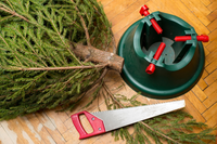 Top 5 kerstbomen en verzorgingstips