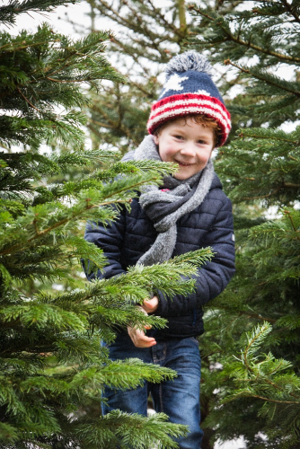 virtueel Tegenstander aangrenzend Kerstboom kopen in Antwerpen