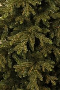 Black Box Trees Macallan Kunstkerstboom - H155 cm - groen - afbeelding 2