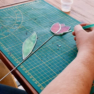 Cactus of Tulp Workshop 5 juli 14u00 - 18u00