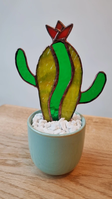 Cactus of Tulp Workshop 5 juli 9u15 - 13u15