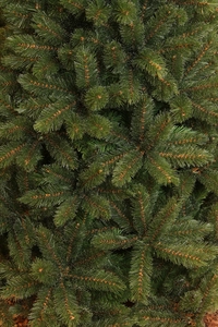 Forest frosted pine kerstboom groen TIPS 942 - h185xd130cm - afbeelding 2