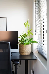 Mand nelis zeegras d13h12cm naturel - afbeelding 2