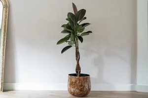 Pot cilia latte d22h20cm - afbeelding 2