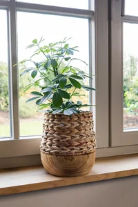 Pot diede d28h21cm naturel - afbeelding 2