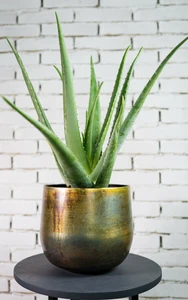 Pot elisa d39h33cm vintage groen - afbeelding 2