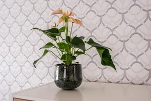 Pot emmie d15h13cm mystic green - afbeelding 2