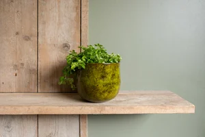 Pot emmie d15h13cm mystic yellow - afbeelding 2