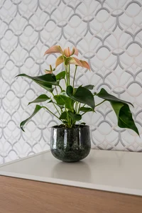 Pot emmie d19h17cm mystic green - afbeelding 2