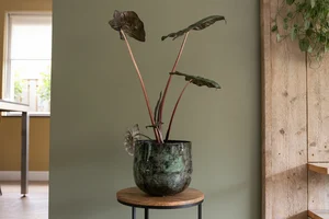 Pot emmie d23h20cm mystic green - afbeelding 2