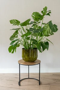 Pot emmie d23h20cm mystic yellow - afbeelding 2