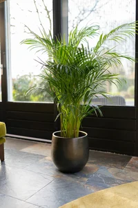 Pot esra d15h13cm shiny green - afbeelding 2