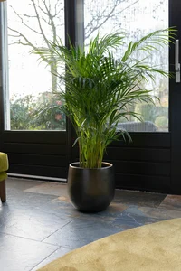 Pot esra d22h20cm shiny green - afbeelding 2