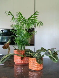 Pot floor oranje d18h16cm - afbeelding 2