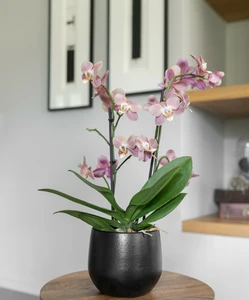 Pot isabel zwart d30h28cm - afbeelding 2