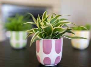 Pot joya d17h15cm mauve - afbeelding 2