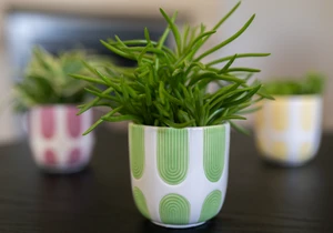 Pot joya d18h17cm apple - afbeelding 2