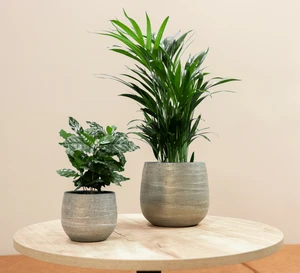 Pot joyce d15h13cm shiny olive - afbeelding 2