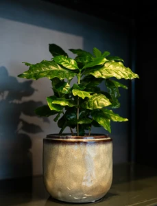 Pot mabel d18h15cm sage - afbeelding 2