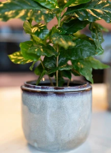 Pot mabel d23h20cm ijsblauw - afbeelding 2