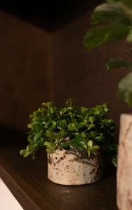 Pot masha d15h12cm mint - afbeelding 2