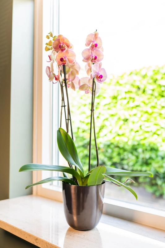 Pot mayk d15h16cm lead