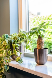 Pot mayk d25h26cm lead