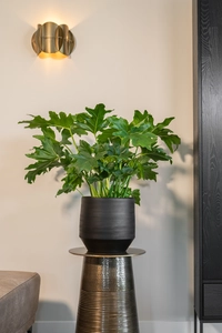 Pot norell d21h20cm zwart - afbeelding 2