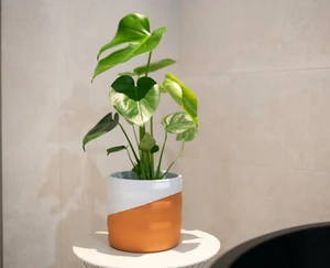 Pot odin d11h11cm wit/terra - afbeelding 2