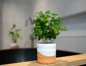 Pot odin d14h13cm wit/terra - afbeelding 2