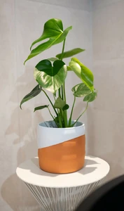 Pot odin d17h15cm wit/terra - afbeelding 2