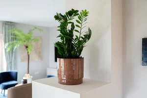 Pot rens d21h18cm kastanje - afbeelding 2