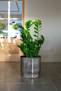 Pot rens d29h26cm antraciet - afbeelding 2