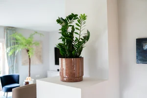 Pot rens d29h26cm kastanje - afbeelding 2