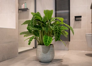 Pot renzo  d26h26m zand - afbeelding 2