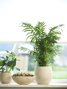 Pot ryan d22h20cm shiny sand - afbeelding 2