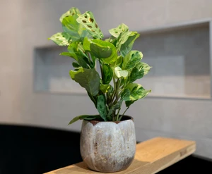 Pot suus d15h13cm latte - afbeelding 2