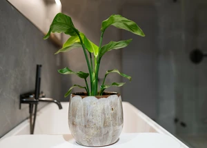 Pot suus d23h20cm latte - afbeelding 2