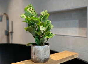 Pot suus d33h28cm latte - afbeelding 2