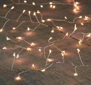 Zilverdraad IVY led warm wit 200 lamps